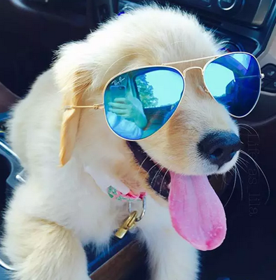 帅气的墨镜，好拉风！