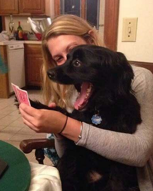 看来这牌是很好