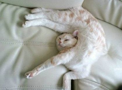 没事伸个懒腰，你行吗！