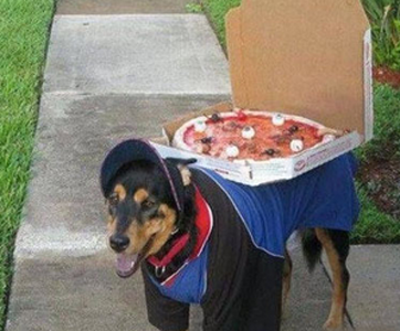 二汪也来送外卖