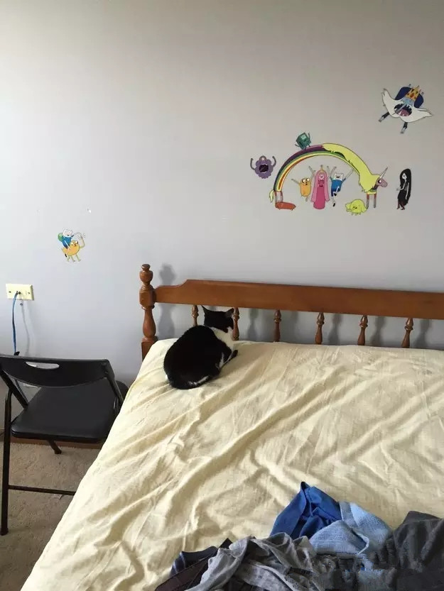 喵星人，你那么逗你家里人知道吗？