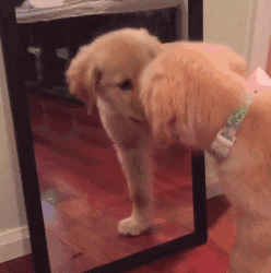 别躲在里面，快粗来陪我玩！