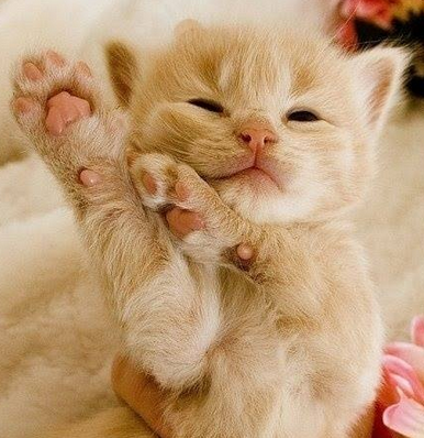 来，一起摇摆！