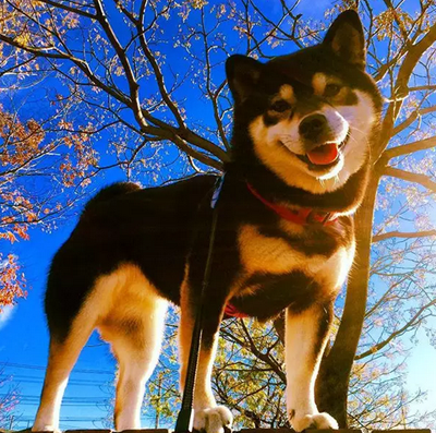 帮我拍漂亮哦！