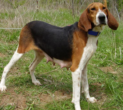 undefined{{pos:,w:,h:}}