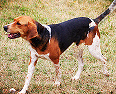 undefined{{pos:,w:,h:}}