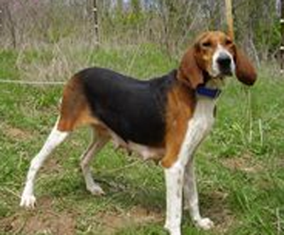 undefined{{pos:,w:,h:}}