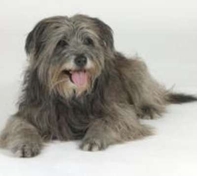 undefined{{pos:,w:,h:}}