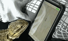 这下海了，怎么也吃不完