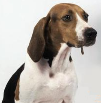 undefined{{pos:,w:,h:}}