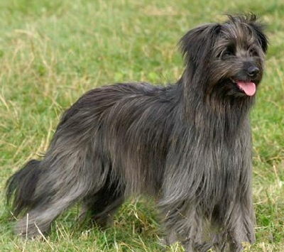 undefined{{pos:,w:,h:}}