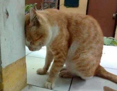 一想到明天上班，我就浑身颤抖