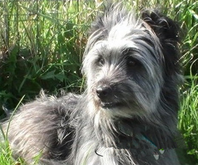 undefined{{pos:,w:,h:}}