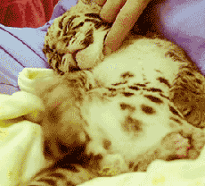 这是挠到哪根神经了...