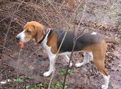 undefined{{pos:,w:,h:}}