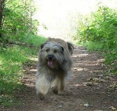 undefined{{pos:,w:,h:}}