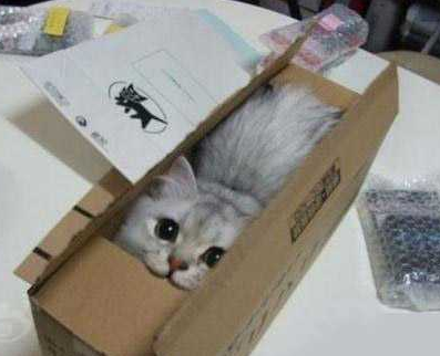 包邮哦亲，给好评哦亲