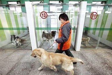 undefined{{pos:,w:,h:}}