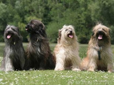 undefined{{pos:,w:,h:}}