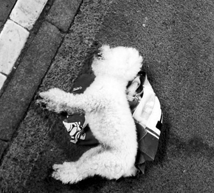 undefined{{pos:,w:,h:}}