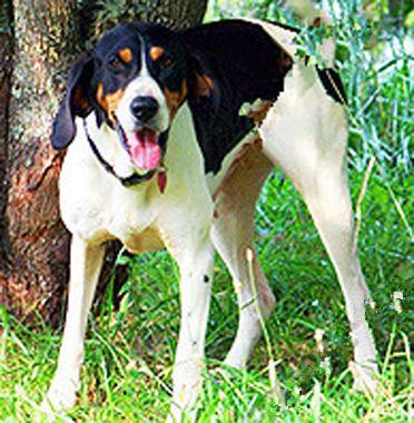 undefined{{pos:,w:,h:}}