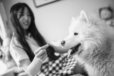 undefined{{pos:,w:,h:}}