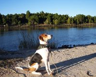 undefined{{pos:,w:,h:}}