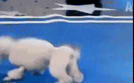 这汪星人绝对开挂了！