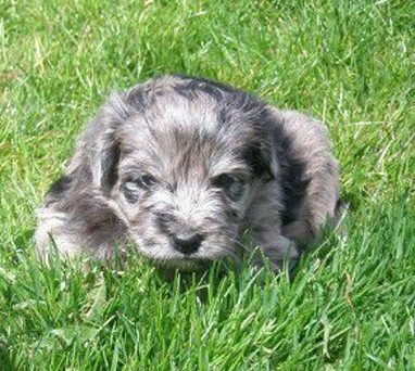 undefined{{pos:,w:,h:}}