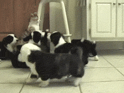 兄弟们上，别让这妹纸走了