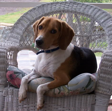 undefined{{pos:,w:,h:}}