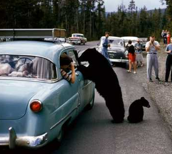 哥们儿，能搭个顺风车吗？