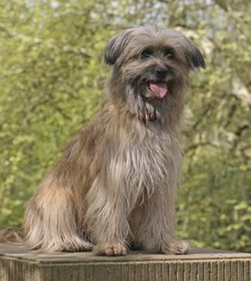 undefined{{pos:,w:,h:}}