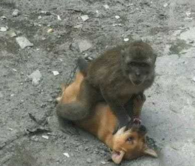 这是要逆天了吗？