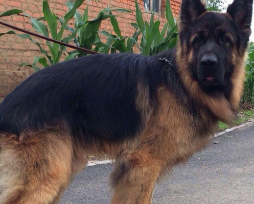 undefined{{pos:,w:,h:}}