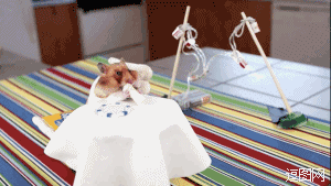 老板，萨尔萨辣酱呢...