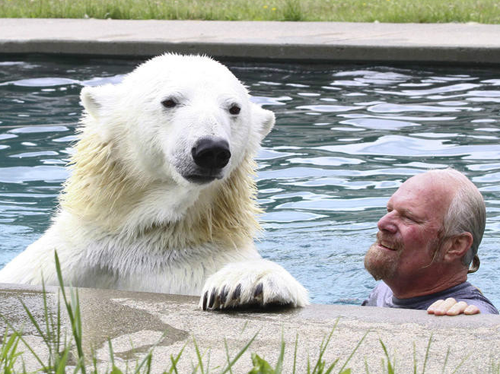 undefined{{pos:,w:,h:}}