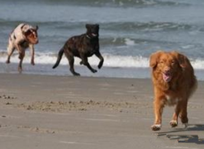 undefined{{pos:,w:,h:}}