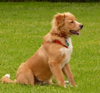 undefined{{pos:,w:,h:}}