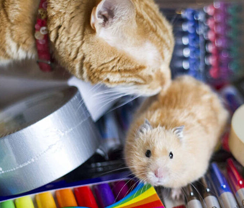 undefined{{pos:,w:,h:}}