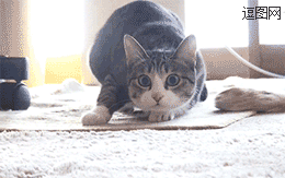 这是什么妖术我已经看不懂了……