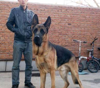 undefined{{pos:,w:,h:}}