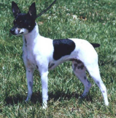 undefined{{pos:,w:,h:}}