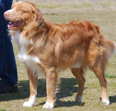 undefined{{pos:,w:,h:}}