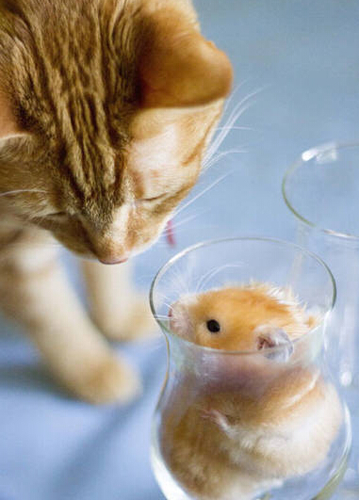 undefined{{pos:,w:,h:}}