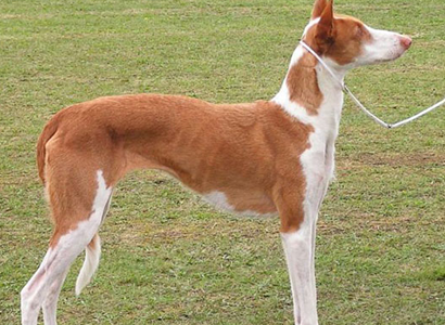 undefined{{pos:,w:,h:}}