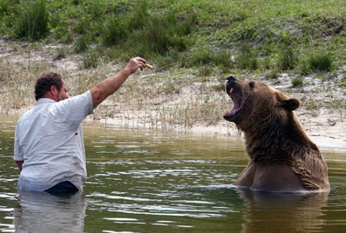 undefined{{pos:,w:,h:}}