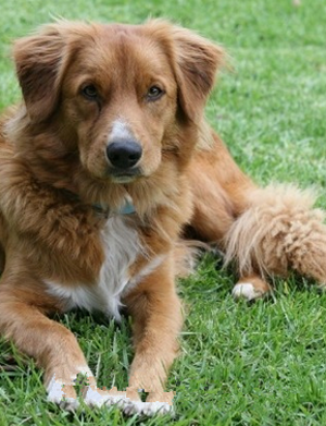 undefined{{pos:,w:,h:}}