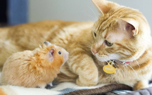 undefined{{pos:,w:,h:}}