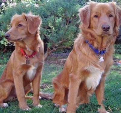 undefined{{pos:,w:,h:}}